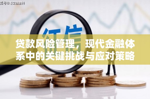 石排贷款风险管理，现代金融体系中的关键挑战与应对策略