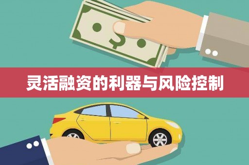 石排灵活融资的利器与风险控制