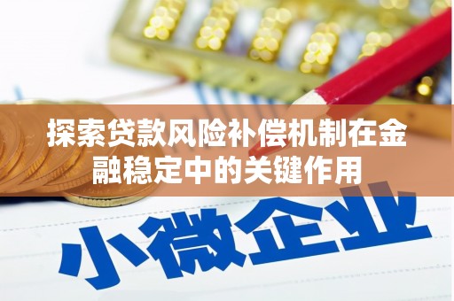 石排探索贷款风险补偿机制在金融稳定中的关键作用