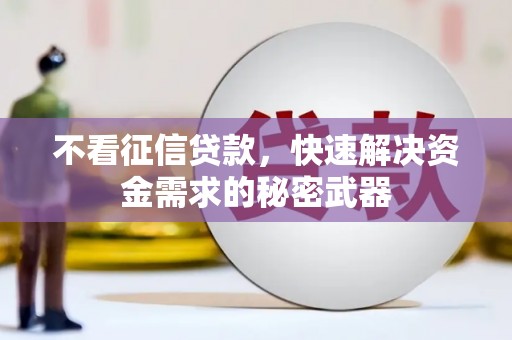 石排不看征信贷款，快速解决资金需求的秘密武器