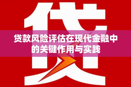 石排贷款风险评估在现代金融中的关键作用与实践