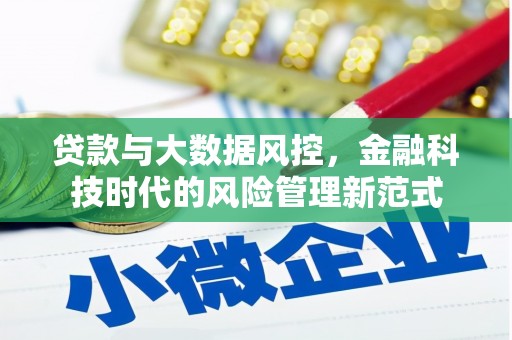 石排贷款与大数据风控，金融科技时代的风险管理新范式