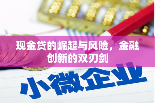 石排现金贷的崛起与风险，金融创新的双刃剑