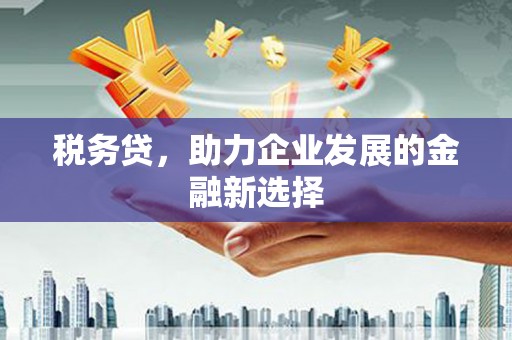 石排税务贷，助力企业发展的金融新选择