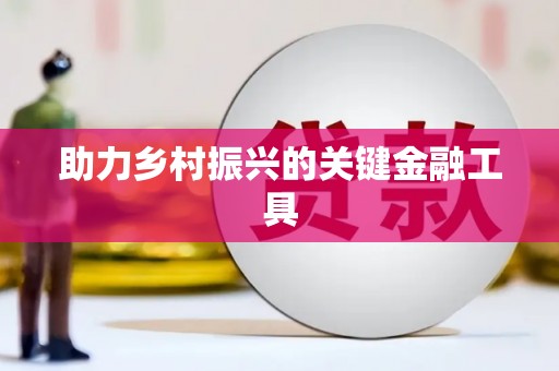 石排助力乡村振兴的关键金融工具