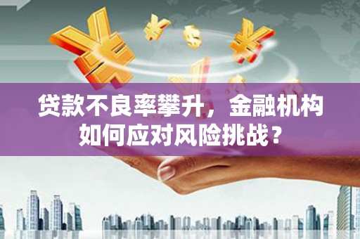 石排贷款不良率攀升，金融机构如何应对风险挑战？