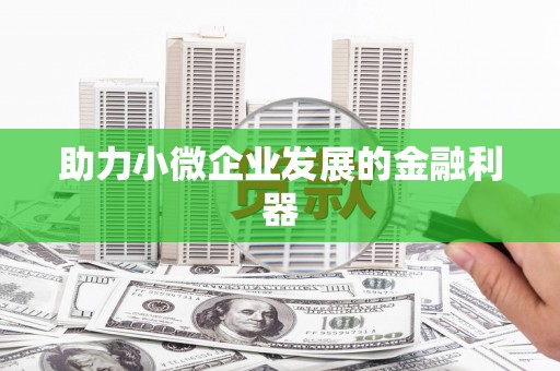 石排助力小微企业发展的金融利器