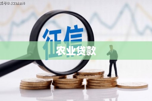 石排农业贷款