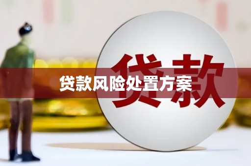 石排贷款风险处置方案