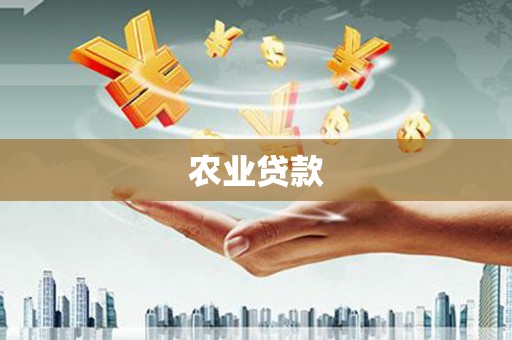 石排农业贷款