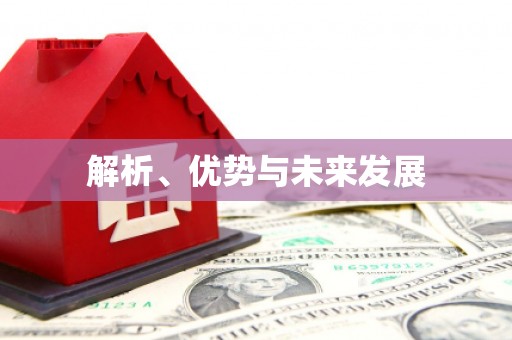 石排解析、优势与未来发展