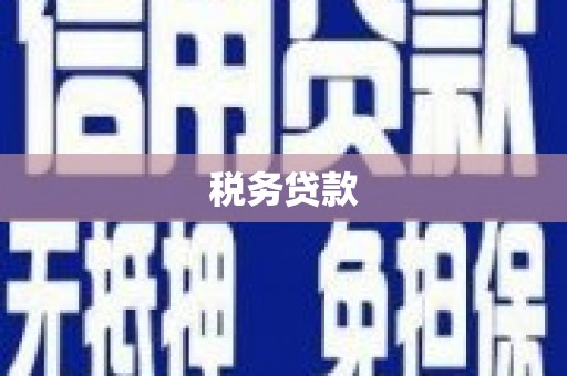 石排税务贷款