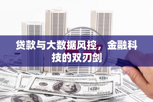 石排贷款与大数据风控，金融科技的双刃剑
