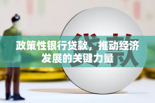 石排政策性银行贷款，推动经济发展的关键力量