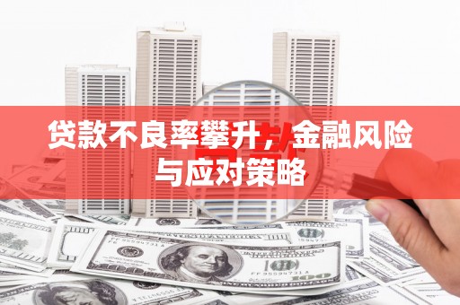 石排贷款不良率攀升，金融风险与应对策略