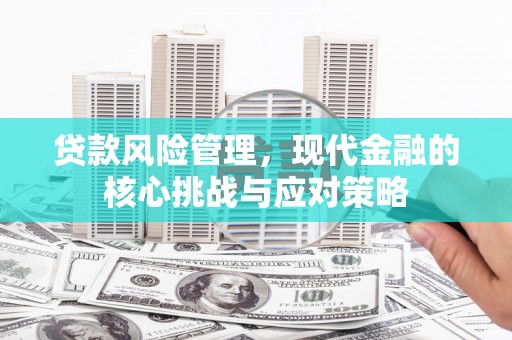 石排贷款风险管理，现代金融的核心挑战与应对策略