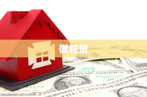石排微粒贷