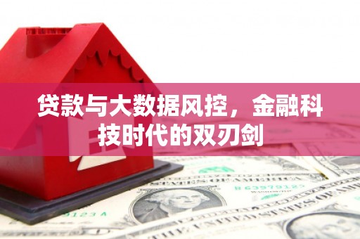 石排贷款与大数据风控，金融科技时代的双刃剑