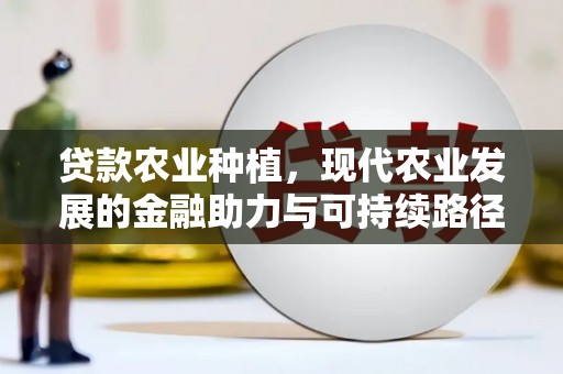 石排贷款农业种植，现代农业发展的金融助力与可持续路径