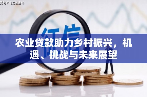 石排农业贷款助力乡村振兴，机遇、挑战与未来展望