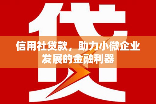 石排信用社贷款，助力小微企业发展的金融利器