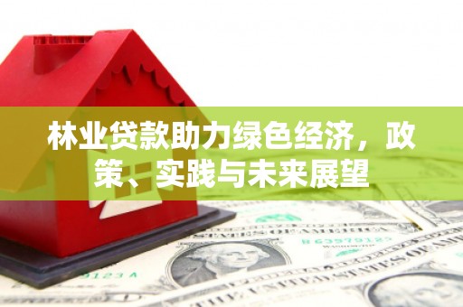 石排林业贷款助力绿色经济，政策、实践与未来展望