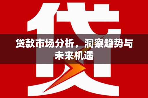 石排贷款市场分析，洞察趋势与未来机遇