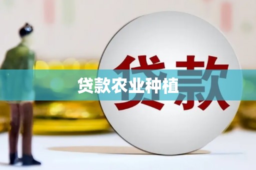 石排贷款农业种植