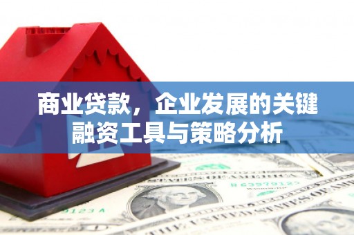 石排商业贷款，企业发展的关键融资工具与策略分析