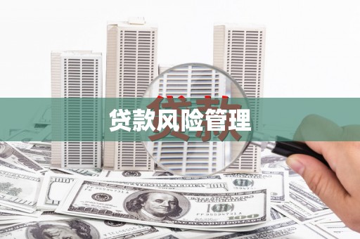 石排贷款风险管理