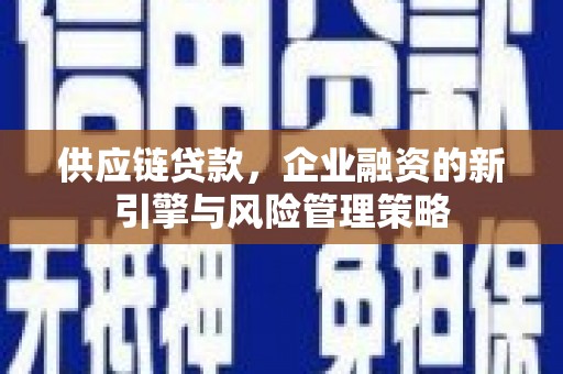 石排供应链贷款，企业融资的新引擎与风险管理策略