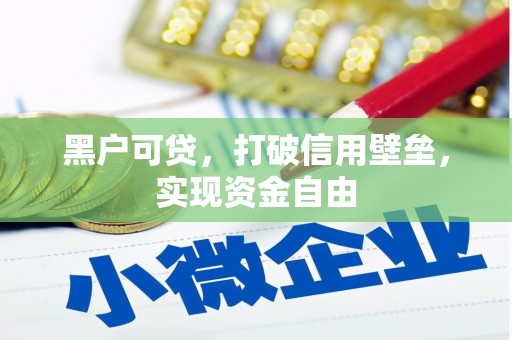 石排黑户可贷，打破信用壁垒，实现资金自由
