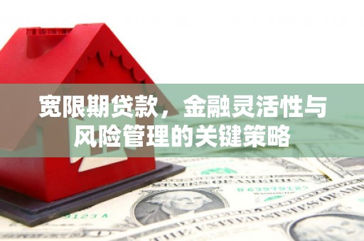 石排宽限期贷款，金融灵活性与风险管理的关键策略