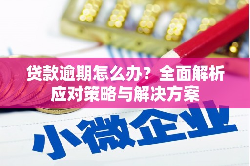 石排贷款逾期怎么办？全面解析应对策略与解决方案