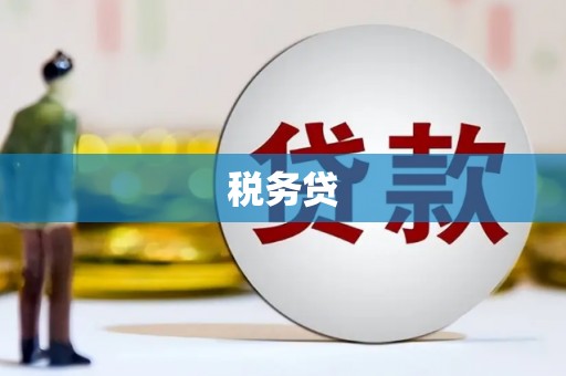 石排税务贷