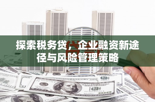 石排探索税务贷，企业融资新途径与风险管理策略