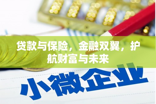 石排贷款与保险，金融双翼，护航财富与未来