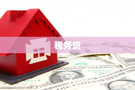 石排税务贷