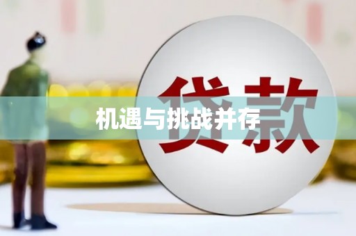 石排机遇与挑战并存
