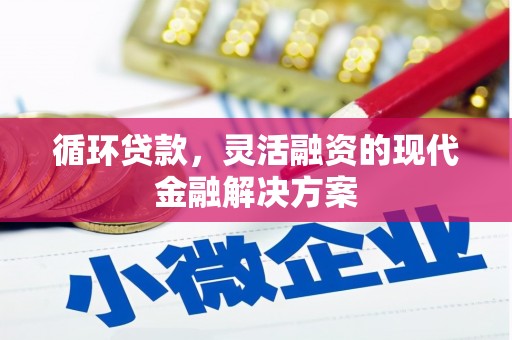 石排循环贷款，灵活融资的现代金融解决方案