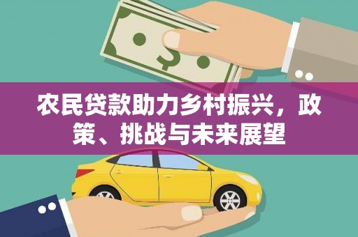 石排农民贷款助力乡村振兴，政策、挑战与未来展望