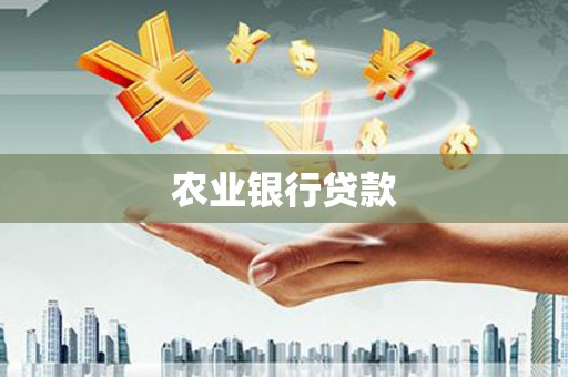石排农业银行贷款