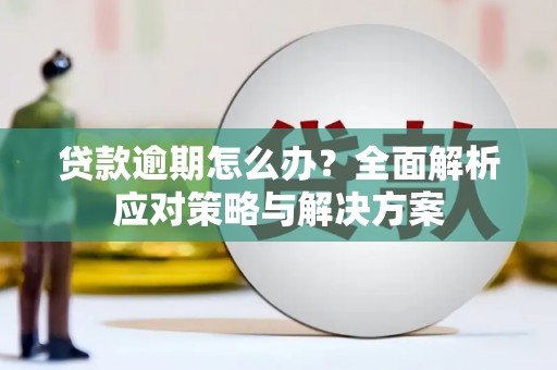 石排贷款逾期怎么办？全面解析应对策略与解决方案