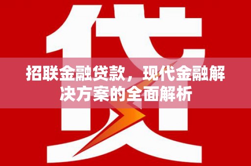石排招联金融贷款，现代金融解决方案的全面解析