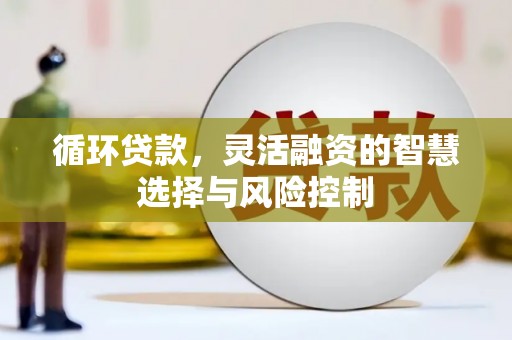 石排循环贷款，灵活融资的智慧选择与风险控制