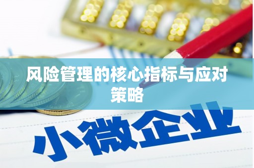 石排风险管理的核心指标与应对策略