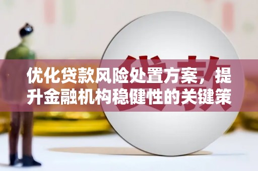 石排优化贷款风险处置方案，提升金融机构稳健性的关键策略