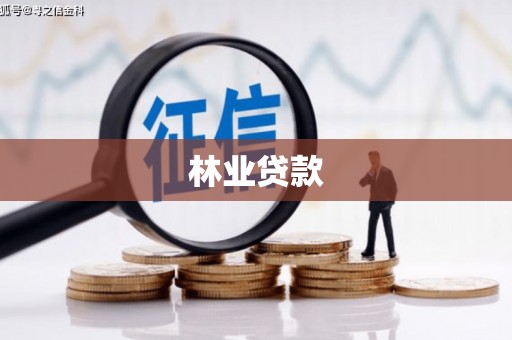 石排林业贷款