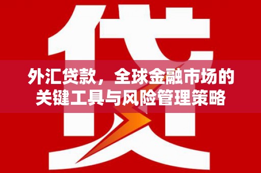 石排外汇贷款，全球金融市场的关键工具与风险管理策略
