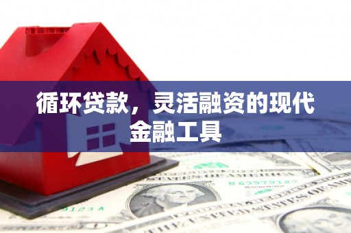 石排循环贷款，灵活融资的现代金融工具